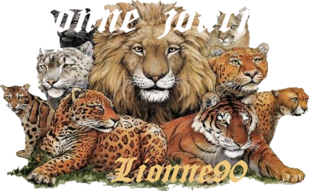 Bonne journee .