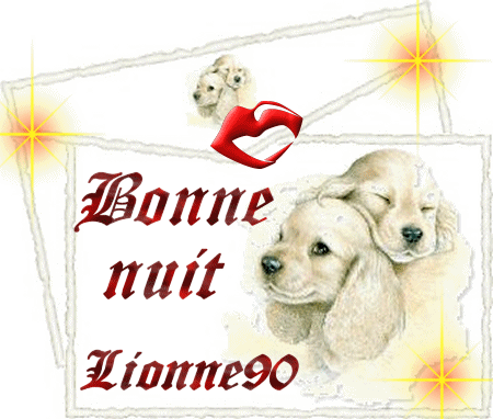 Bonne  nuit.