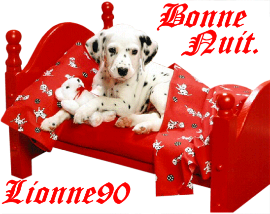 Bonne  nuit.