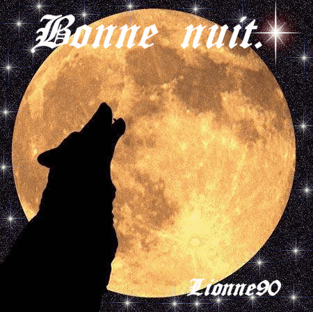 Bonne  nuit.