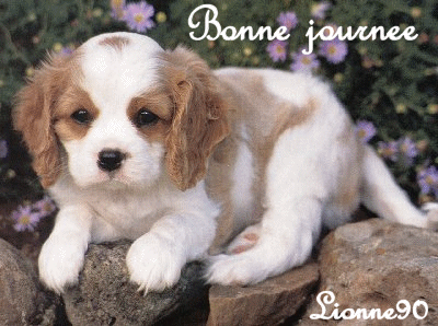 Bonne journee .