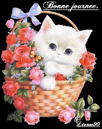 Bonne journee .