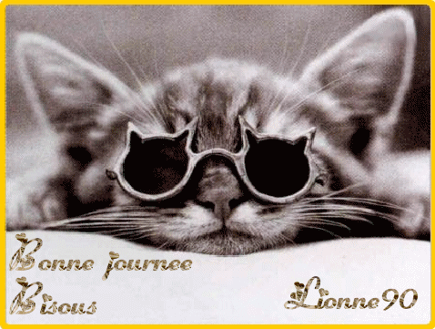 Bonne journee .