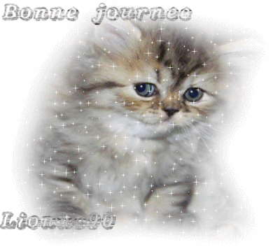 Bonne journee .