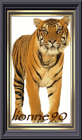 lionne90