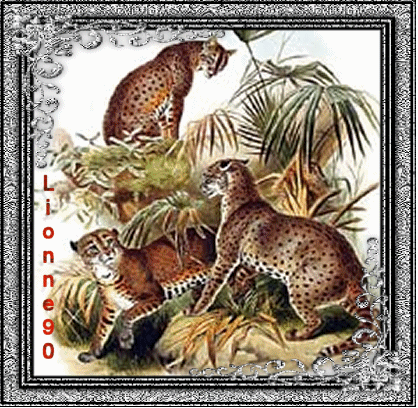 lionne90