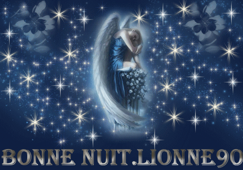 Bonne  nuit.