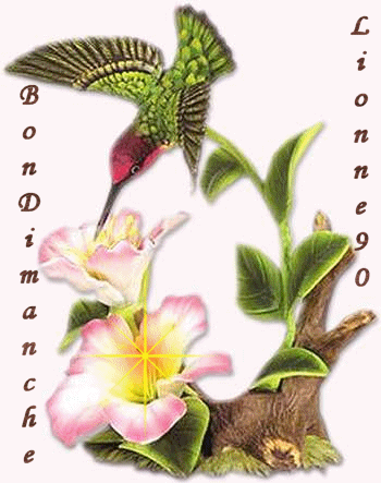 lionne90