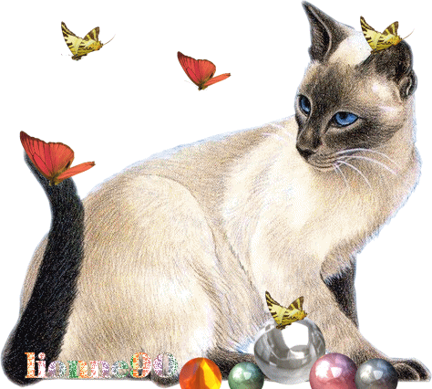 lionne90