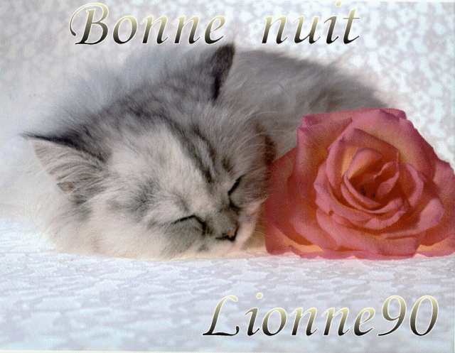 Bonne  nuit.
