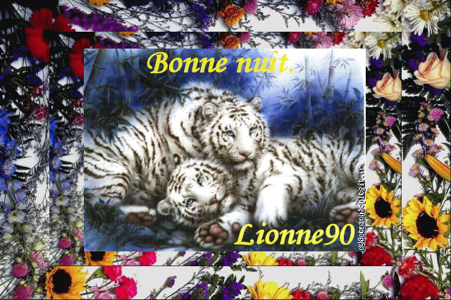 Bonne  nuit.