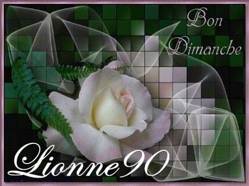 de retour