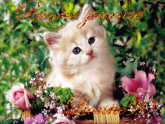 bonne journee