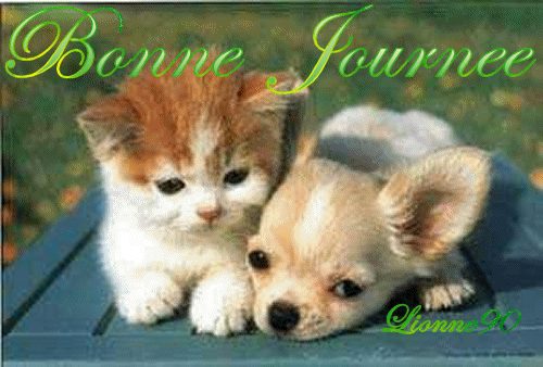 bonne journee