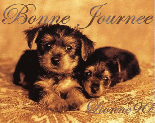 bonne journee