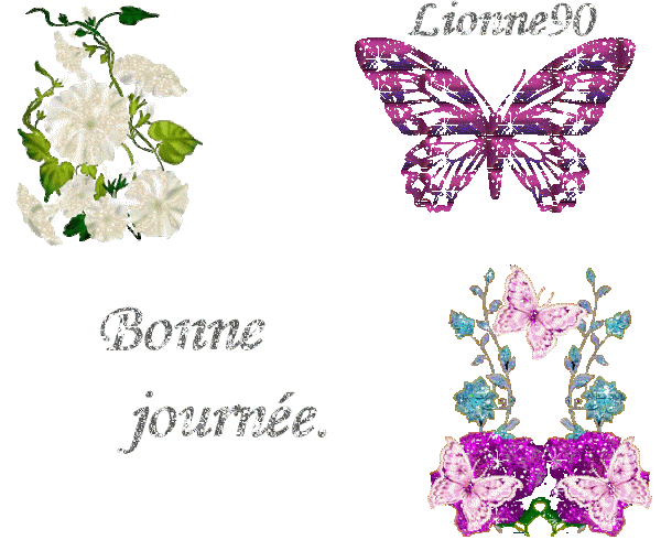 bonne journee