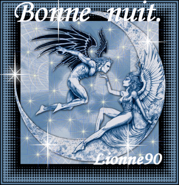 Bonne  nuit.