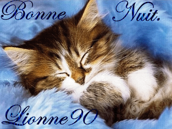 Bonne  nuit.