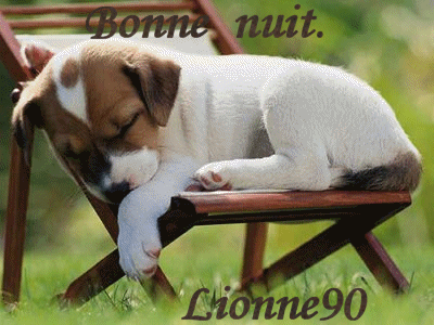 Bonne  nuit.