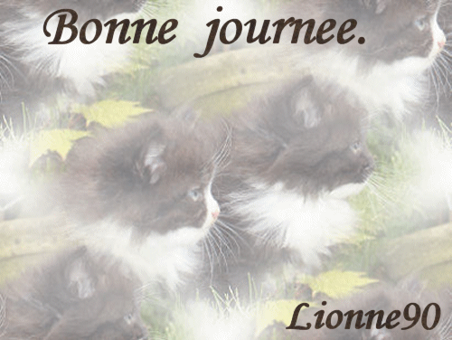 bonne journee