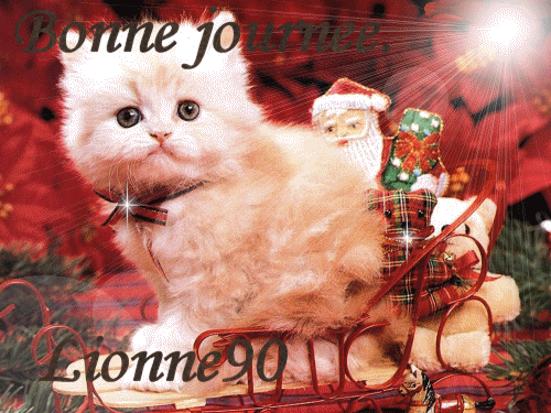 bonne journee