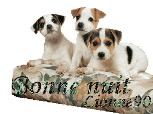 Bonne  nuit.