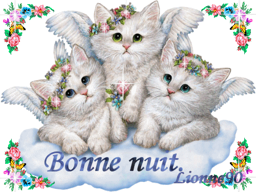 Bonne  nuit.