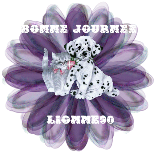 bonne journee