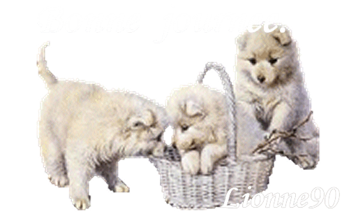 bonne journee